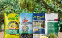 loi-ich-cua-viec-su-dung-phan-bon-huu-co-cho-cay-sau-rieng