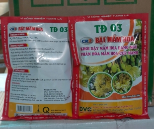 td-03-bat-mam-hoa