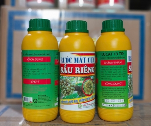 ruoc-mat-cua-sau-rieng